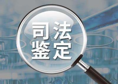 鉴定资料